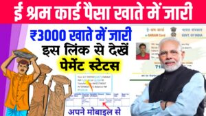 E Shram Card Payment Status 2023 : ई श्रम कार्ड ₹3000 खाते में जारी यहां से चेक करें पेमेंट स्टेटस 1 क्लिक में