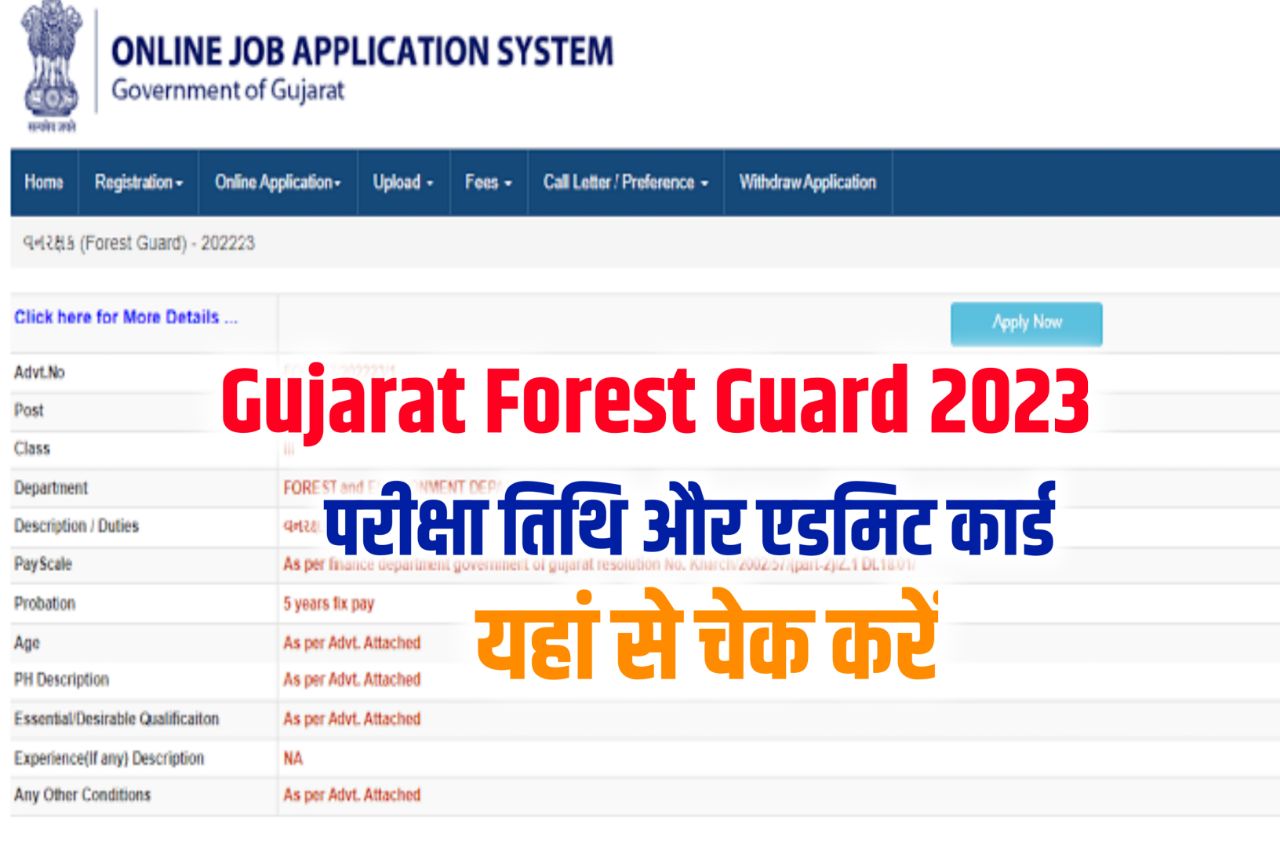 Gujarat Forest Guard Admit Card 2023 (लिंक जारी) Download Hall Ticket