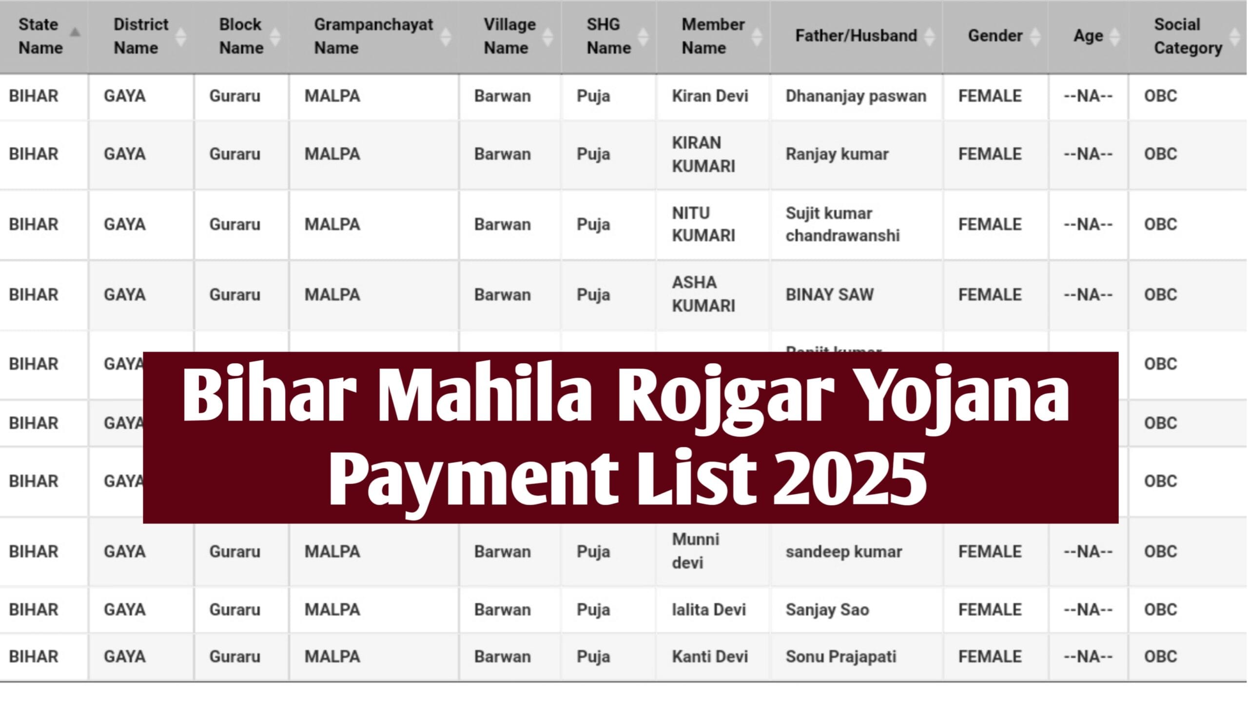 Bihar Mahila Rojgar Yojana Payment List 2025 : Mahila Rojgar Yojana Ka Paisa Kaise Check Kare Online